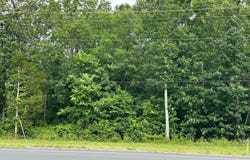 7503 JAMES MADISON Highway, GAINESVILLE, VA 20155