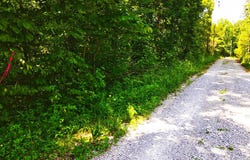 1119 Harmon Creek Road, Monticello, KY 42633