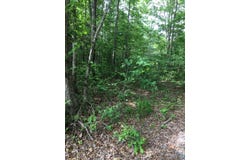 Buckeye Lane lot: 47, Wilder, TN 38589