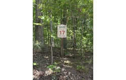MASTERS Pl, Springville, TN 38256