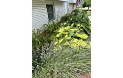 319 Tulip Lane, Lowell, IN 46356