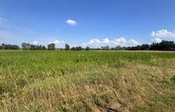 Lot 37 S Morgan Road, La Porte, IN 46350