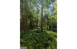 620 Blackberry LN, Clarkesville, GA 30523