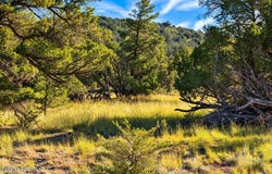 N Dallas Drive lot: 1060, Seligman, AZ 86337