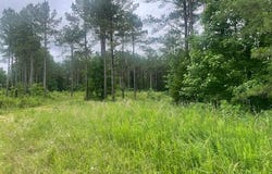 0 Bartlett Road, Reagan, TN 38368