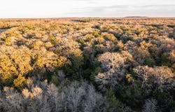 0000 Tbd 21+/- Ac Grassyville RD, Paige, TX 78659
