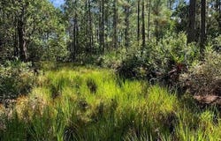 Old Grade Road, FL 33868