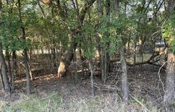 622 Cypress Drive, May, TX 76857