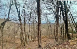Alpine Drive, Seven Devils, NC 28604