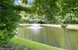 3605 Ramblin Creek Rd, Louisville, KY 40299