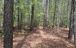 1147 WATERSEDGE Cove, Tignall, GA 30668