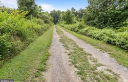 466 LAUREL SPRINGS ROAD, HUSTLE, VA 22476