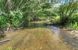 28.65 Ac Jolley Way, Epworth, GA 30541