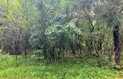 Lot 5 Willie Promore Rd, Decatur, TN 37322