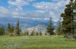 381 OLD CAMP RD, Bellvue, CO 80512