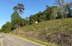 00 Tawannah Cir, Hokes Bluff, AL 35903
