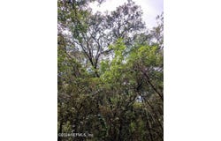 5210 CO RD 214, Keystone Heights, FL 32656