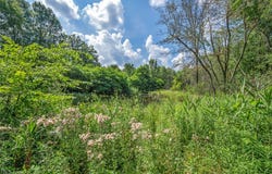 301 Karson Drive, Akron, OH 44312
