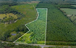 Apprx 14 Acres Old River, Statesboro, GA 30461