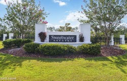 113 Spring Rise Circle, Bunnell, FL 32110