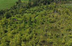 11235 W Rosebush Road, Weidman, MI 48893