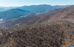 1376D WYATT MOUNTAIN RD, DYKE, VA 22935