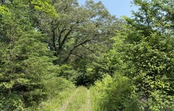 295 Co Rd 296, Bryant, AL 35958
