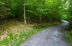 0 Moose Hill Way, Keene, NY 12942