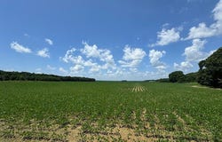 000 Pump Street, Des Arc, AR 72040
