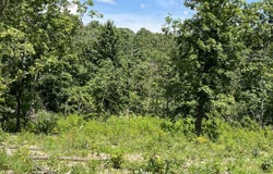 Lot 45 Pr Ridge Haven, Mammoth Spring, MO 72554