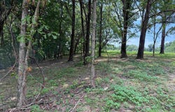 12 Acres Bunker Hill Road, Pulaski, TN 38478
