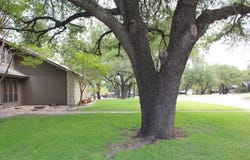 115 Sandra Palmer Street, Stephenville, TX 76401