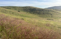 Bethel Rd, Horseshoe Bend, ID 83629