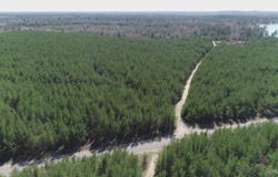 Parcel 1 Rice Lake, Gwinn, MI 49841