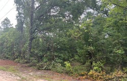 NE 70TH AVENUE, HIGH SPRINGS, FL 32643