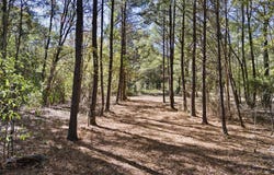 307 Highway, Bluffton, AR 72827