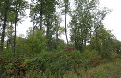 Near Half Mile Road, Herbster, WI 54844
