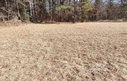 1 acre Hwy 57, Chidester, AR 71726