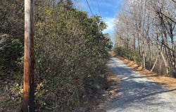 Kathy Lake Drive unit: 24/25, Edneyville, NC 28792