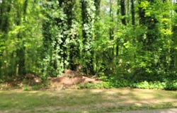 0 Lake Latimer, Kennesaw, GA 30144