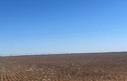 1 FM 2192, Wilson, TX 79381