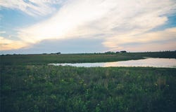 12203 E Rocky Creek Road, Crowley, TX 76036