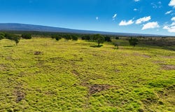Kealakekua, HI 96725