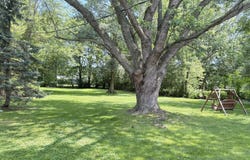 19061 Collinson Avenue, Eastpointe, MI 48021