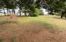 Squire Circle lot: 1, THOMSON, IL 61285