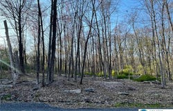 2445 Larkspur Drive unit: 71, Stroud Twp, PA 18360