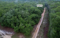 HURON Street, Interlachen, FL 32148