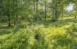 52 Ac Mccurdy Avenue, Rainsville, AL 35986