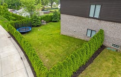 55135 Hanford Court, Utica, MI 48316