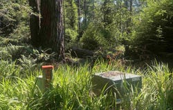 250 Wheeler, Crescent City, CA 95531